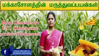 மக்காசோளத்தின் மருத்துவப்பயன்கள்/Benefits of Corn silk