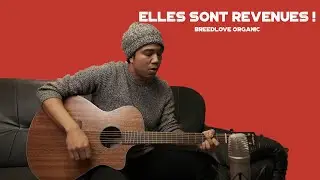 Elles sont revenues !  - Test des Breedlove Organic
