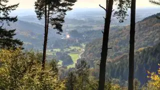 BLACK FOREST VIEWS