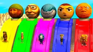 Long Slide Game With Cow Elephant Gorilla Hippopotamus Tiger 3d Animal Game Funny 3d Animals