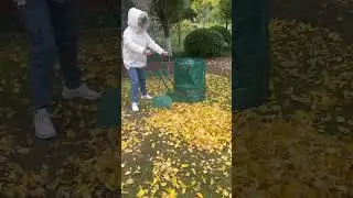 Game - Changer for Yard Cleanup! Long Handle Leaf Grabbers Revealed#yardwork #yardcleanup#gardening