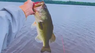 Hidden Farm Pond is Loaded!! // Kayak Bass Fishing