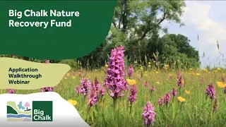 The Big Chalk Nature Recovery Fund Application Walkthrough Webinar