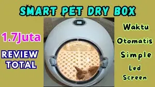 Review Smart Pet Dry Box ( Alat Keringkan Bulu Kucing) - Rekomendasi Pengering Bulu Kucing 