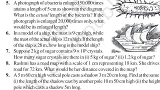 Q. 9 ex 11.1 class 8th maths ncert 