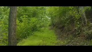 Sneedville TN 150 acres city water, elect, natural gas at road.  339K