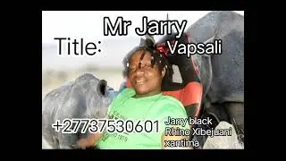 Mr Jarry-Vapsali( Jarry black Rhino xibejuani xantima)