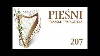 Ile szczęścia i chwał (PBT 207)