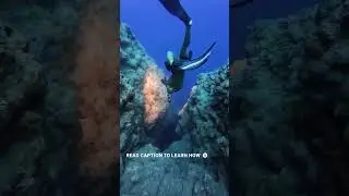 LEFEET P1 Leg Mount Kit Diving Through the Fish