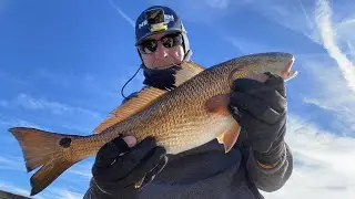Redfish & Inshore Slam, tutorial on artificial DOA shad paddle tail