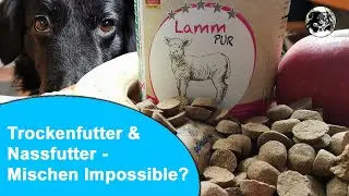 Kann man Trockenfutter und Nassfutter mischen?