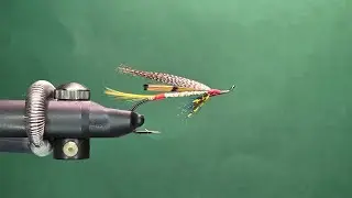 Gold Doctor - One Fly A Day