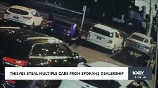 Thieves rappel into car dealership from roof, steal multiple vehicles