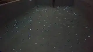 Fiber optic in swimming pools