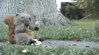 ANIMAL THUG LIFE 002