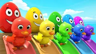 Five colorful eggs jumping into the pool | Humpty Dumpty | ZuLoo Nursery Rhymes & Kids Songs