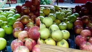 New Nokia 6 Camera Test And Review