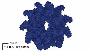 DeepSES: Learning solvent-excluded surfaces via neural signed distance fields