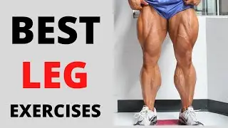 The Best Leg Exercises For Good Looking Legs