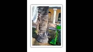 #curadellepiante #gardenstyle #endoterapia www.gardenstylesassar.it