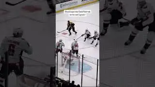 #davidpastrnak #icehockey #sports #becomingcaptain #goodplayer