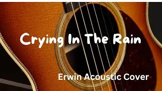 Crying In The Rain acoustic cover (erwin)