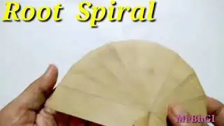root Spiral