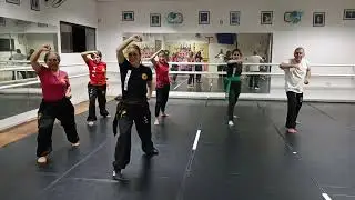Tao Long quan academia Hu Quan Tien Shan Pai - Asunci&oacute;n Paraguay 