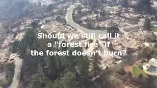 How to Start a Catastrophic California Wildfire with Microwaves: DEW 101
