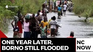 Borno Floods: One Year On, Communities Still Struggle With Aftermath