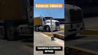 Ajuste y calibraci&oacute;n a balanza camionera