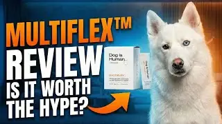 My Husky Tried Dog Is Human MULTIFLEX&trade; - Here's What Happened