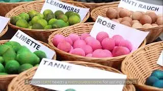 Chemistry makes you rich.! Start a Natural Skincare Brand Using Plant Extracts