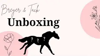 Unboxing Breyer Blindbags & Some tack!!