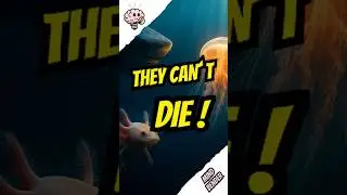 They Can&rsquo;t Die&hellip; | IQ Bites: Mindbenders #shorts #animalfacts