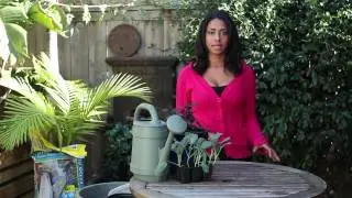 How to Winterize Your Garden With Plastic : Around the Garden