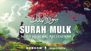 Most soothing recitation of Surah Mulk سورة الملك | Quran is Calling