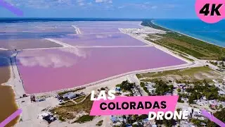 LAS COLORADOS DRONE 4K 🇲🇽 (Pink Salt Lake in Mexico)