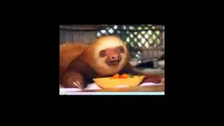 Trying out Amuse -  9gag, Cheezburger
