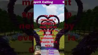 🌟 What does it mean to live each day at the speed of life?