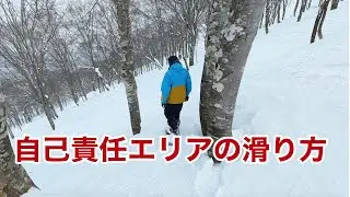【注意喚起】自己責任エリアが流行ってるので事故らないためのテクニックを紹介するよ。ツリーランの滑り方編
