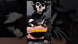A quien eliges como tu guardian por el resto de tu vida 😤
