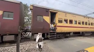 Train Crossing RailGate || Railgate Crossing || Train Video