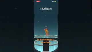 Shiny Mudbray Evolves into Mudsdale! #pokemongo #shinypokemon #pokemon #mud #shiny #italy #lucky