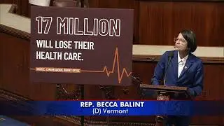 Rep. Becca Balint at 3:45 AM: 