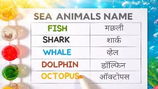 Sea Animals Name in English & Hindi | Fish Shark Whale Dolphin Octopus | Kids Learning