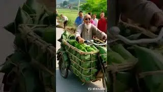 Have you seen my rural life? Folk customs, Zongzi, boo absurd video