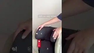 선선한 가을 날씨에 떠나는 피크닉, 스완두 NEW찰리와 함께!