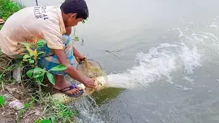 Traditional Village Fishing Video | Best Fish Catching Video by Net and Hook | Unique Fishing Video
