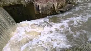 10of17 Chelmer and Blackwater Navigation Rushes Lock